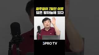 일주일은 왜 7일일까?  | 주원준 한님성서연구소 수석연구원 [에인션트]